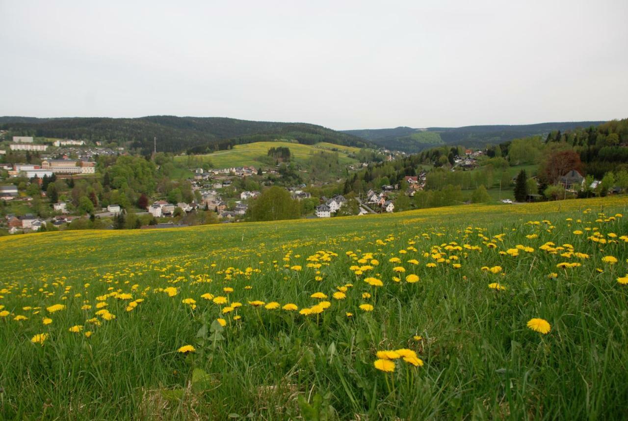 Ferienwohnung Koernerberg Klingenthal Kültér fotó